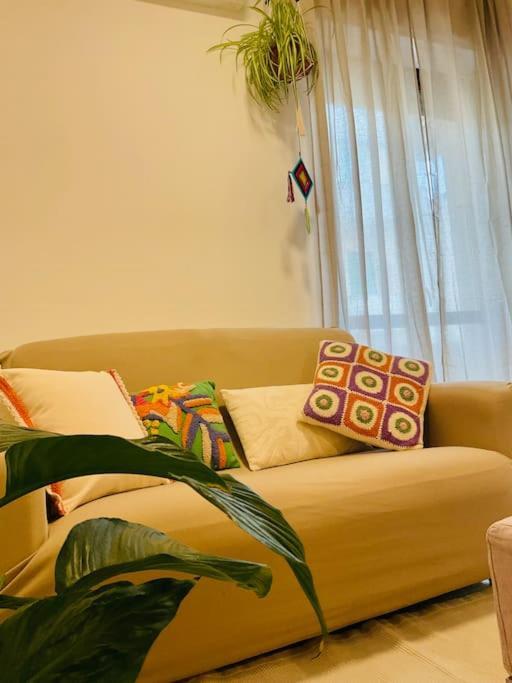 Casa Oliva アルゲーロ エクステリア 写真