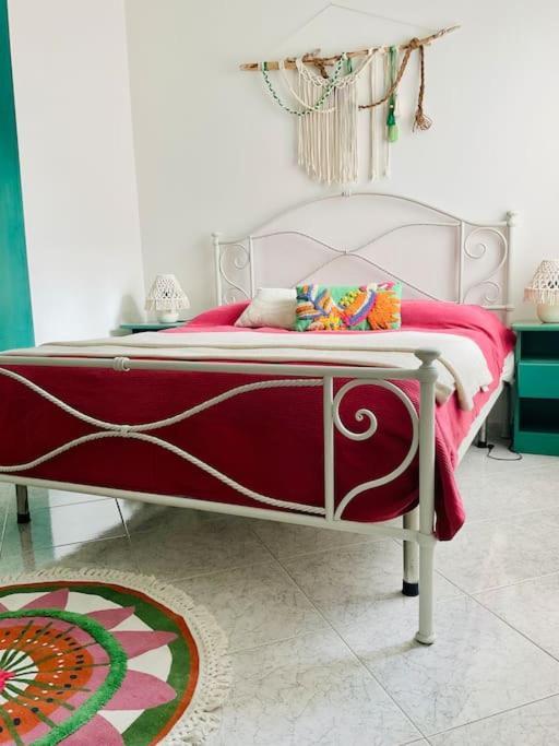 Casa Oliva アルゲーロ エクステリア 写真